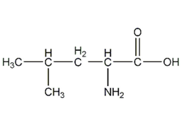 l leucine bulk